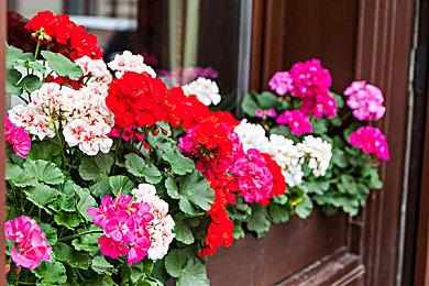 《燕云十六声》招式特效很棒 招式名称翻译成英文难